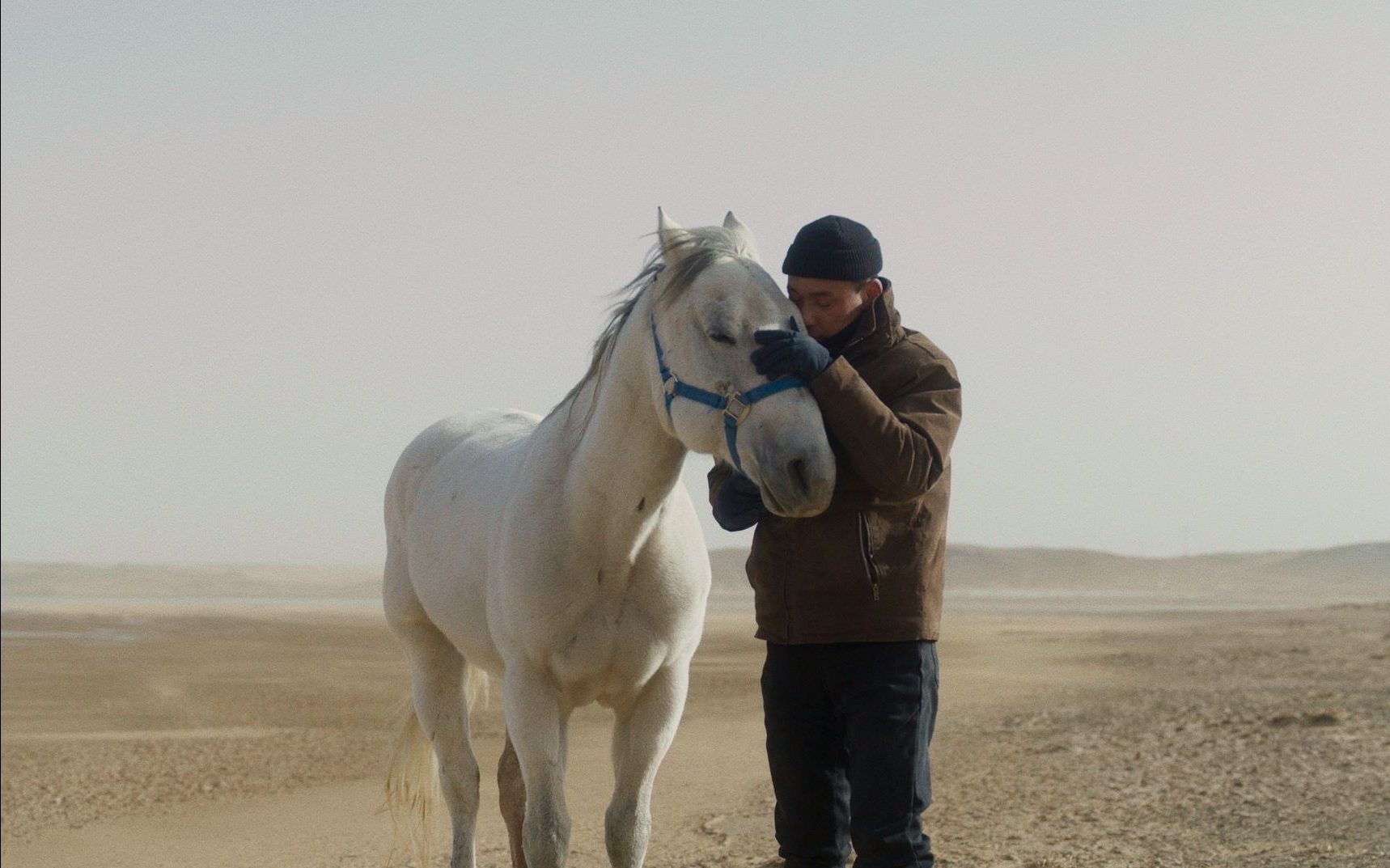 TO-KILL-A-MONGOLIAN-HORSE-3