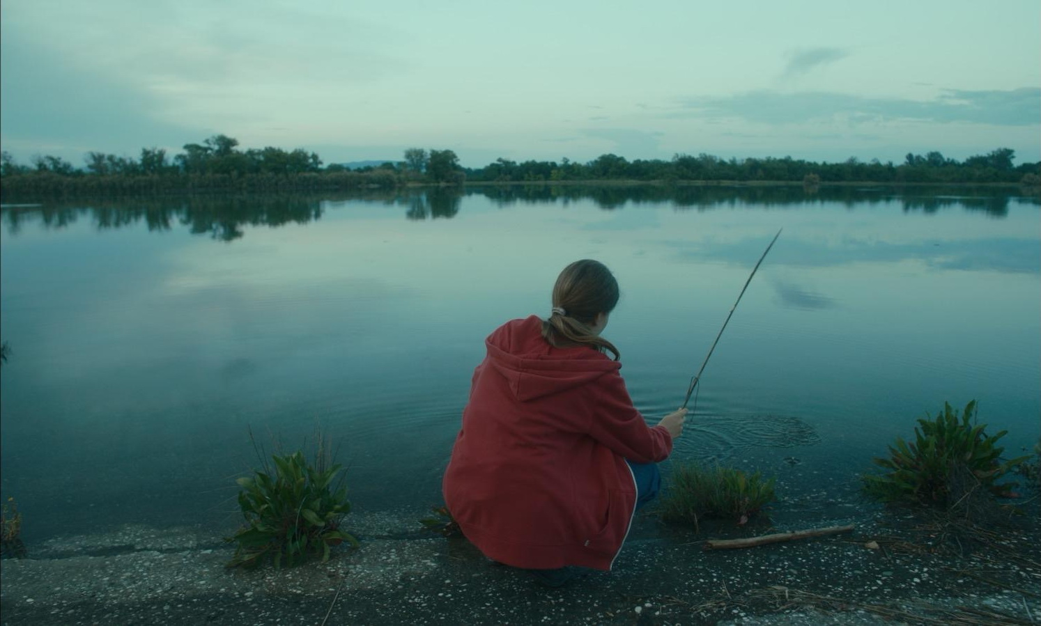 vermi cortometraggio